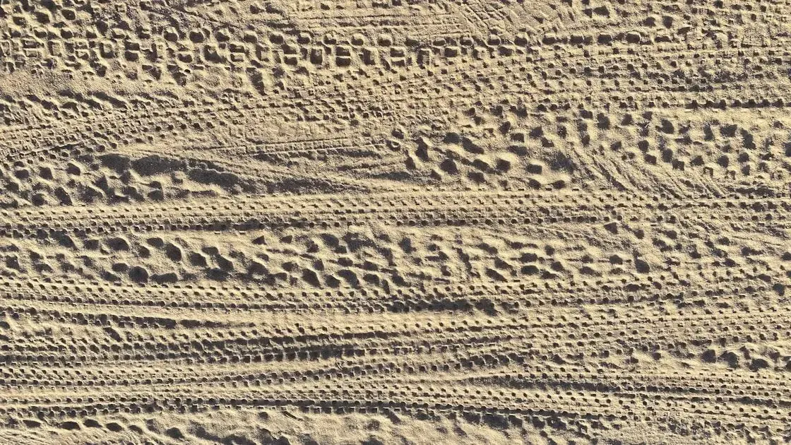 Como fazer higienização automotiva: passo a passo (sem erro) + checklist de produtos