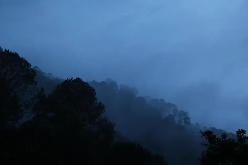 Controle de temperatura: evitar queimar a pintura