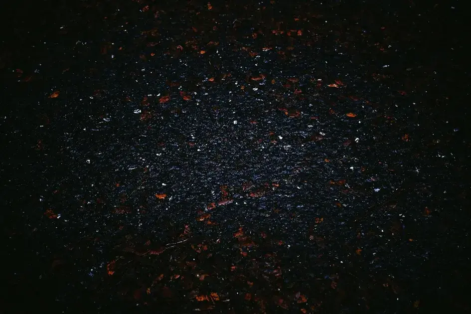 Correção de pintura: tratar oxidação, swirl e hologramas