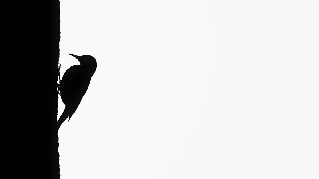 equipamentos que valem o investimento