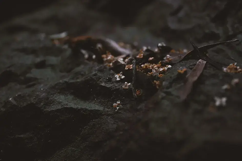 Erros comuns no polimento e como evitá-los