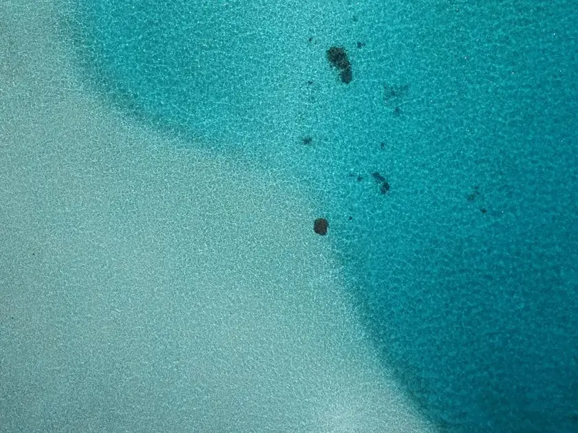 Escolhendo um serviço profissional confiável