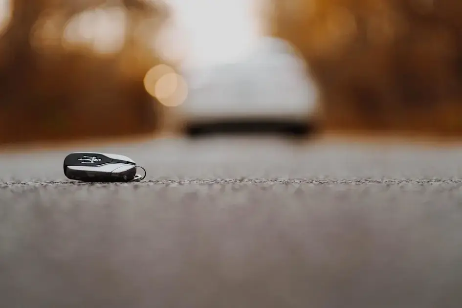 Higienização interna: limpeza de carpetes e tapetes