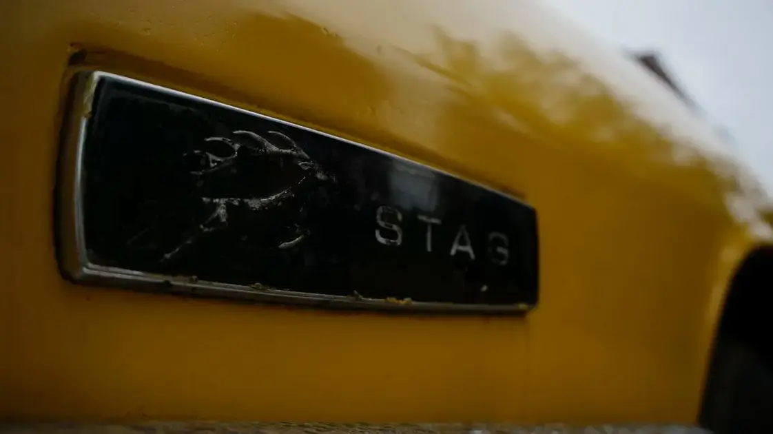 preparo da superfície antes da vitrificação