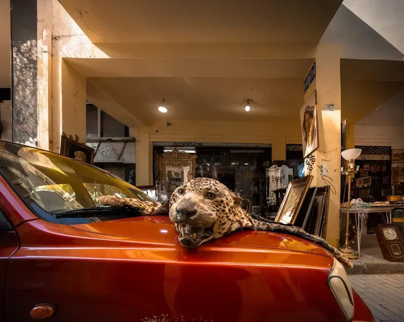 Produtos e equipamentos usados no processo