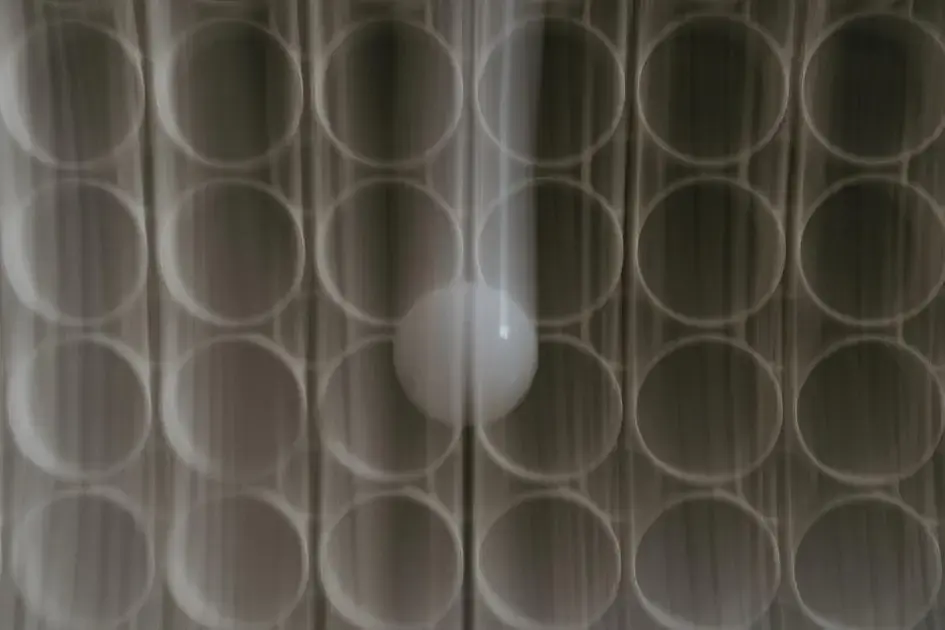 Proteção de pintura: cera vs selante vs vitrificação (qual escolher?)