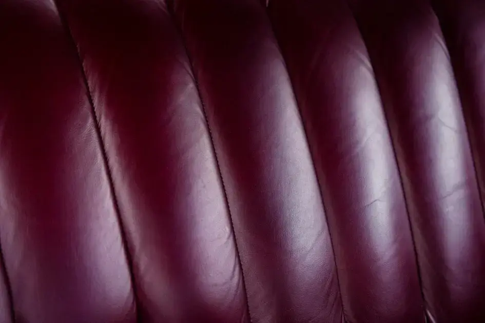 Remoção de manchas comuns (café, sangue, graxa)