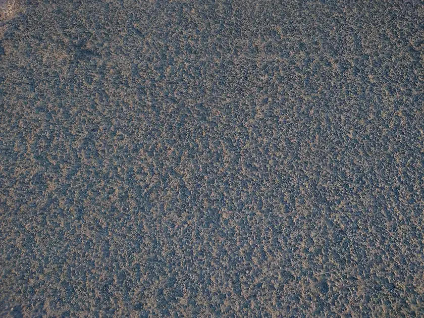 Remoção de odores persistentes e controle de mofo