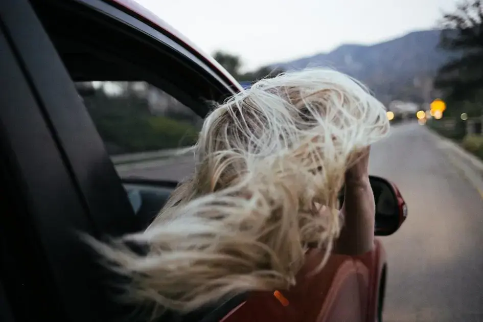 Remoção de pelos de animais e resíduos orgânicos