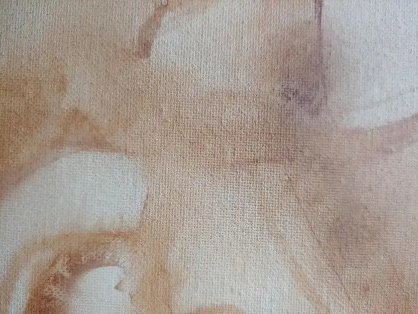 Vida útil e quando substituir a boina